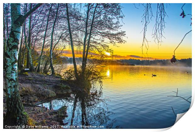 Mist on the lake, Sunrise at Horseshoe Lake Print by Dave Williams