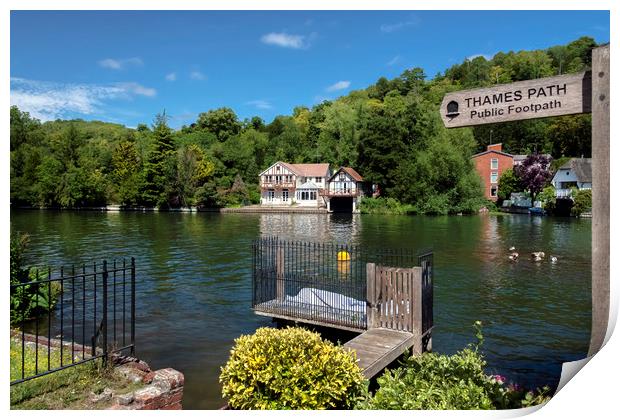 Life on the Thames Path at Henley-on-Thames Print by Dave Williams