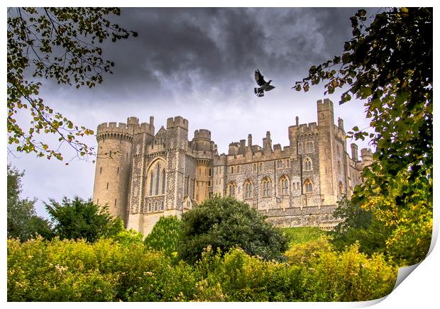 The Medieval Arundel Castle Print by Dave Williams