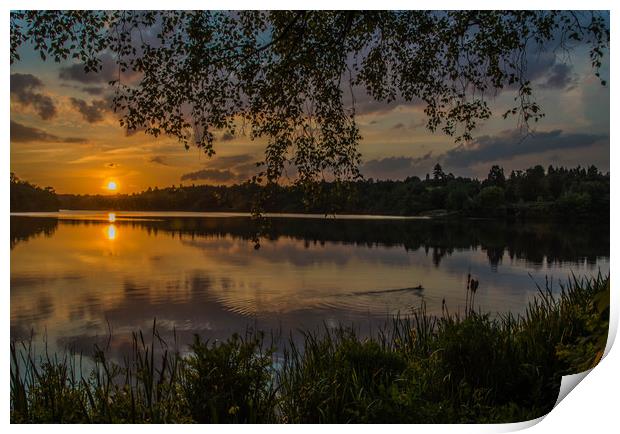 Virginia Water Sunset Print by Dave Williams