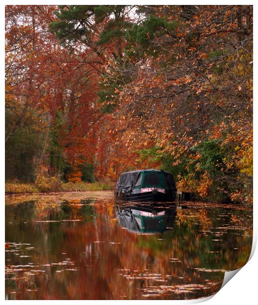 Autumnal Canal Barge Reflections Print by Dave Williams