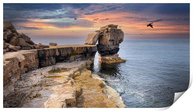 Pulpit Rock at Portland Bill _ Dorset Print by Dave Williams