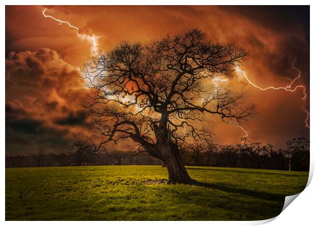 Hells Bells _ Thunderstruck Tree Print by Dave Williams