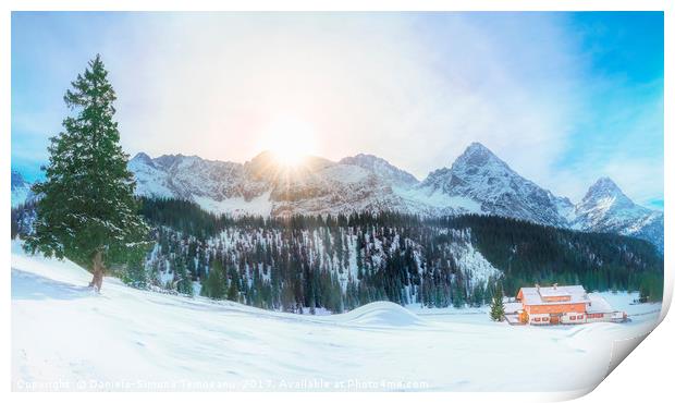 Austrian Alps in winter Print by Daniela Simona Temneanu