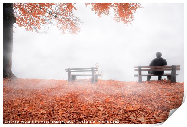 Man on bench shrouded by mist in autumn decor Print by Daniela Simona Temneanu