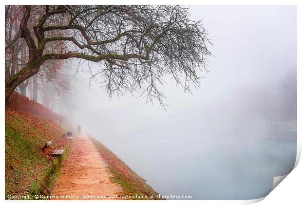 Path in autumn mist along the river Print by Daniela Simona Temneanu