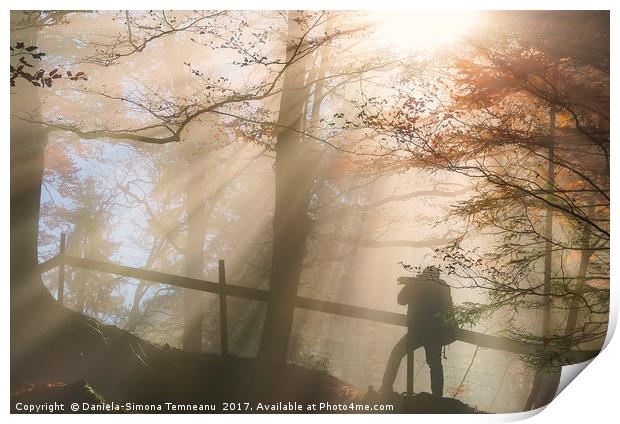 Silhouette of a man under sun rays in autumn color Print by Daniela Simona Temneanu