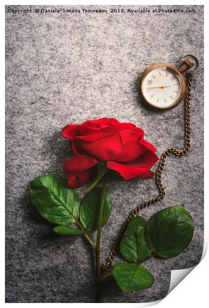 Red rose and a vintage pocket clock Print by Daniela Simona Temneanu