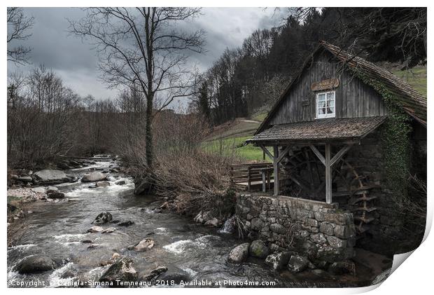 Old abandoned water mill near a mountain river Print by Daniela Simona Temneanu
