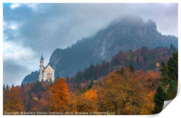 Autumn colored forest in Bavarian Alps Print by Daniela Simona Temneanu