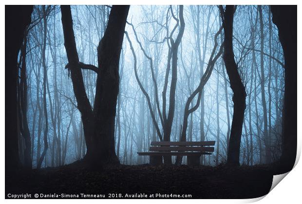 Wooden bench and foggy autumn forest Print by Daniela Simona Temneanu