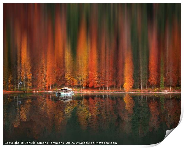 Motion blur autumn forest and water reflection Print by Daniela Simona Temneanu