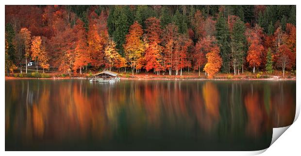 Autumn forest and water reflection on Lake Alpsee, Bavavaria, Germany Print by Daniela Simona Temneanu