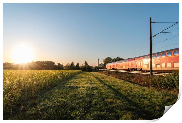 Passenger train and rapeseed field. Spring landscape at sunrise Print by Daniela Simona Temneanu