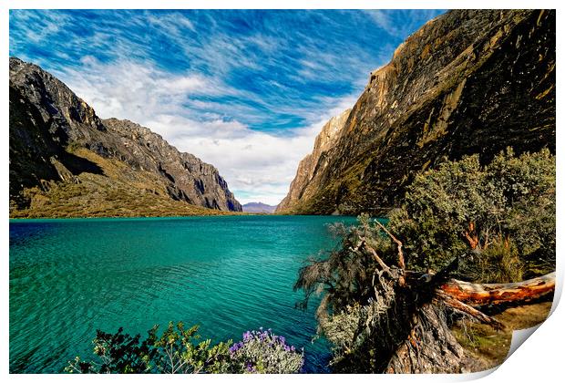 Turquoise lagoon in the high  Andes Print by Steve Painter