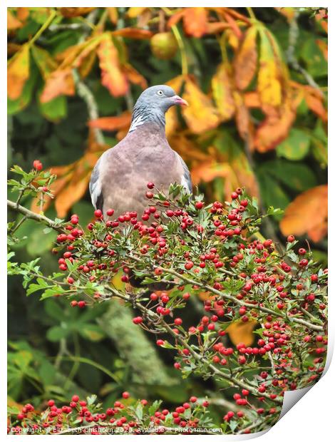 Autumn with Pigeon Print by Elizabeth Chisholm