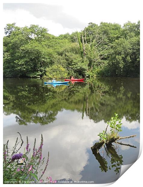 Summer afternoon on the River Dart Print by Elizabeth Chisholm