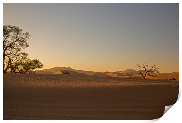 Sunrise at Sossusvlei, Namibia Print by Hazel Wright