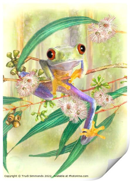 Tree Frog Print by Trudi Simmonds