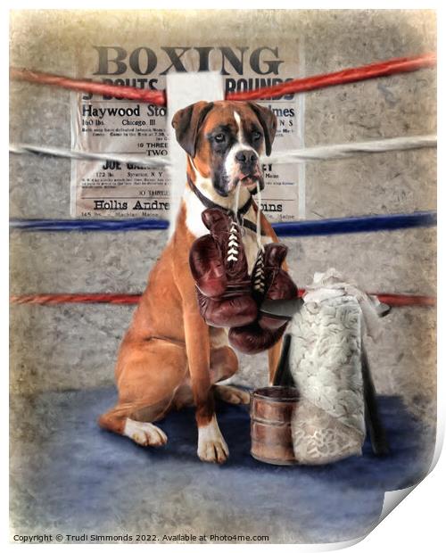  The Boxer Print by Trudi Simmonds