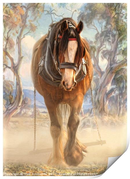 Clydesdale Solo Print by Trudi Simmonds