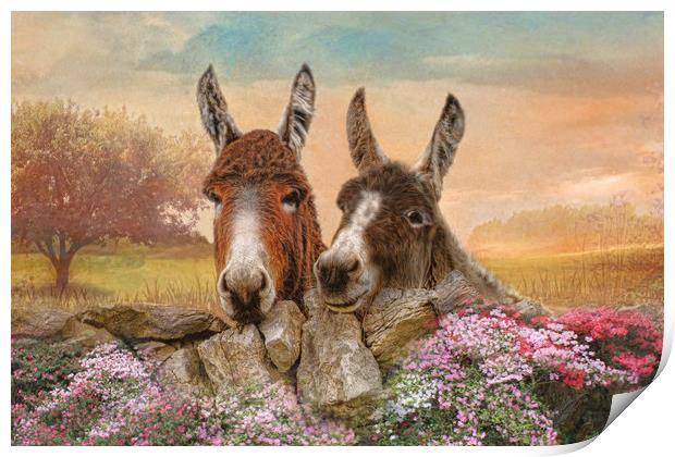 Donkey Duo Print by Trudi Simmonds