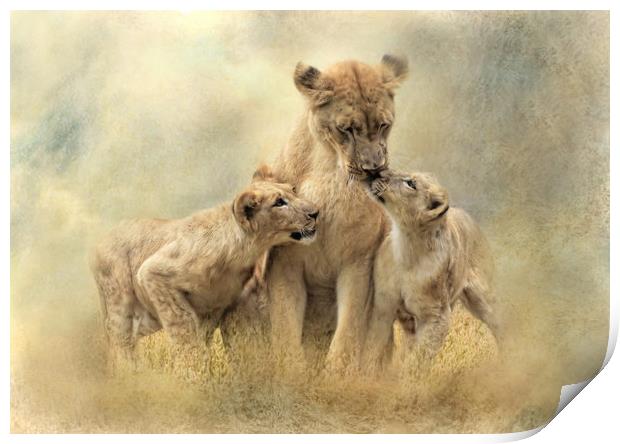 Lioness and Cubs  Print by Trudi Simmonds