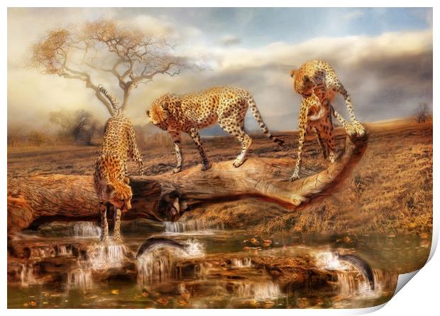 Cheetah Trio Print by Trudi Simmonds