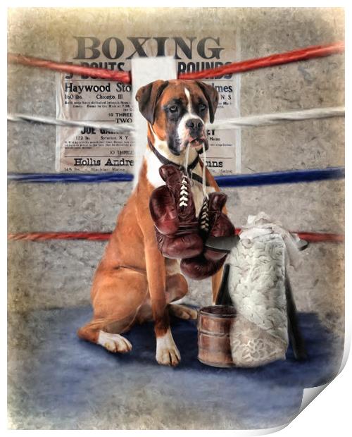 The Boxer Print by Trudi Simmonds