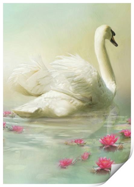 Swan Song Print by Trudi Simmonds
