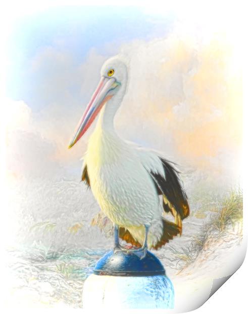 The Pelican Print by Trudi Simmonds