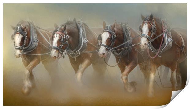 Four in the Field Print by Trudi Simmonds