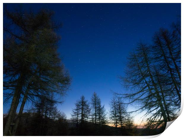 Stars rises over the pine trees on a morning foreg Print by Mirko Macari
