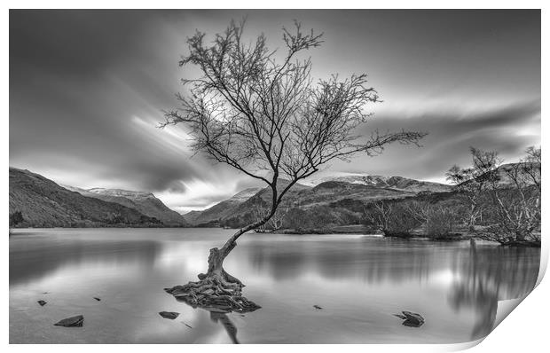 Llyn Padarn Lake Print by Jaromir Ondra