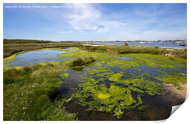 Mudeford Spit #4 Print by Derek Daniel