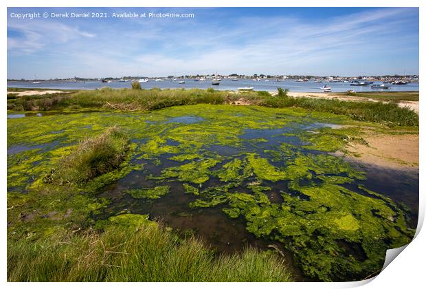 Mudeford Spit #5 Print by Derek Daniel