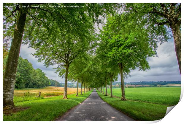 Avenue of Trees, Moor Crichel Print by Derek Daniel