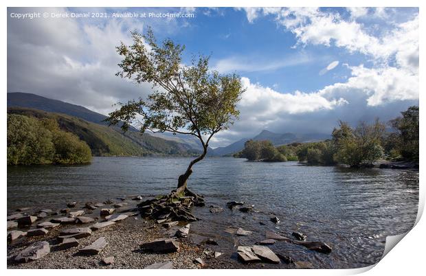 The Lone Tree, Llyn Padarn, LLanberis  Print by Derek Daniel