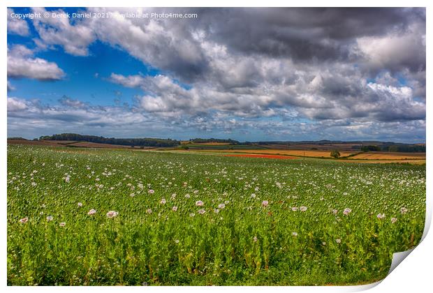 Fields of Healing Print by Derek Daniel