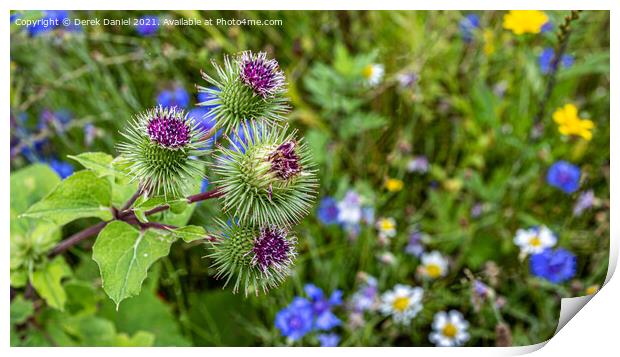 Wildflowers Print by Derek Daniel