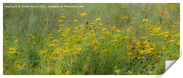 Dreamy Wildflowers (panoramic) Print by Derek Daniel