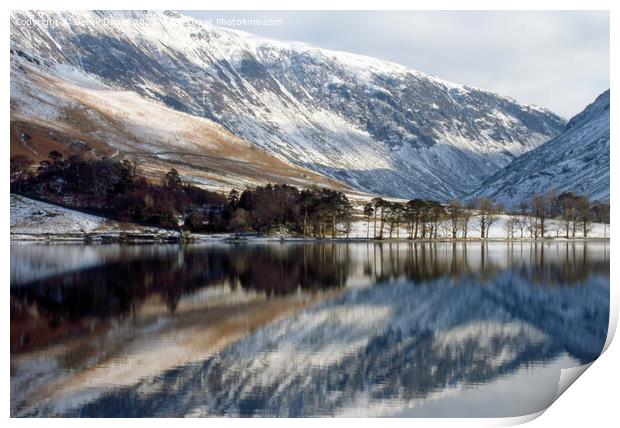 Winter Wonderland Reflection Print by Derek Daniel