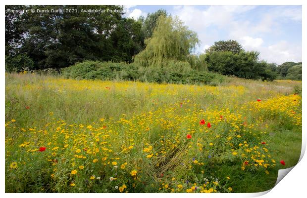 Wildflower Symphony Print by Derek Daniel