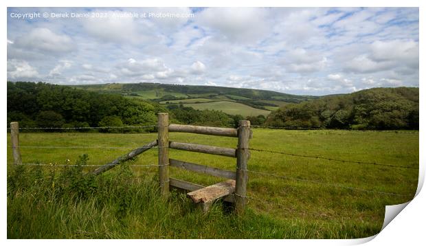 A Dorset Landscape Print by Derek Daniel