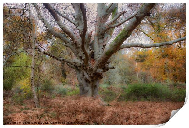 Autumn Forest Scene Print by Derek Daniel