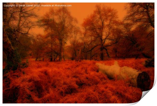 Autumn Forest Scene Print by Derek Daniel
