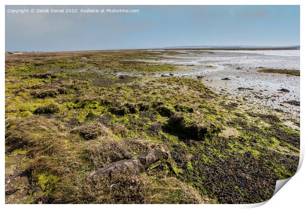 Keyhaven Marshes #2 Print by Derek Daniel