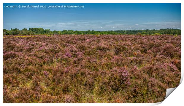  A field of Purple Heather Print by Derek Daniel
