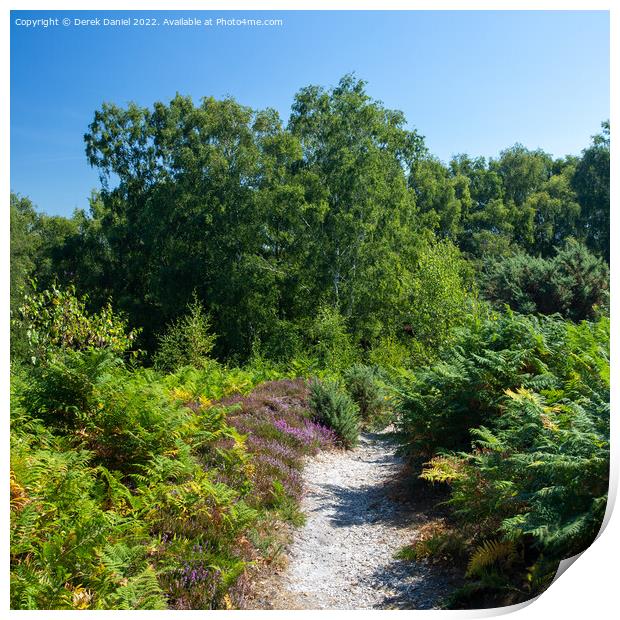 Pathway on Rockford Common Print by Derek Daniel