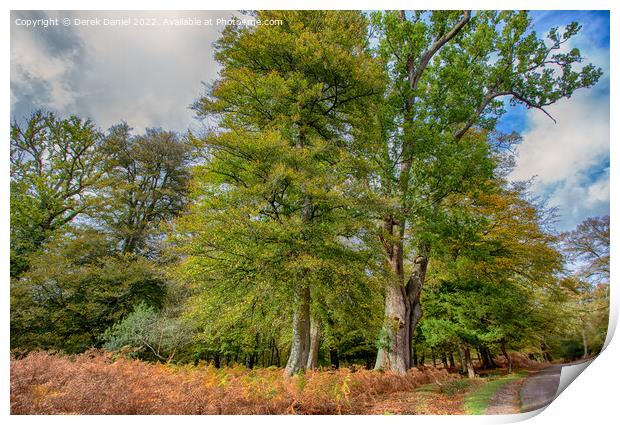 Enchanting Autumn Woods Print by Derek Daniel
